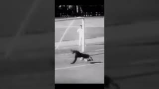 Lev Yashin’s epic saves [upl. by Moyer]