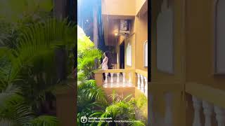 Justa Morjim Beach Resort Hotel in Goa tushita travelvlog hotelvideo vacation shorts goahotel [upl. by Poock561]