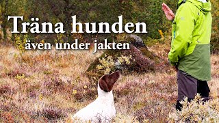 Hundskolan Träna även under jakten [upl. by Esinal]