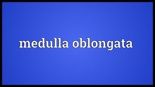 Medulla oblongata Meaning [upl. by Leaw]