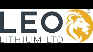 Leo Lithium Marktupdate Mehr Aktien für den Direktor  20082024 [upl. by Krug634]