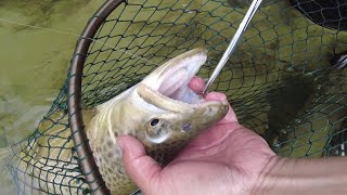 Dry Fly Fishing Heaven  The Mataura River from the South Island of New Zealand [upl. by Aleen]