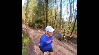 Haldon Forest Parkrun [upl. by Ttocs311]