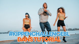 Broederliefde  Kippen  Dans Tutorial Devante Walden Choreografie [upl. by Colton801]