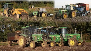 Classic 40 Series potato harvesting  John Deere 1140 2040 3140  KeyAg Solo Whitsed Turnill [upl. by Amesari]