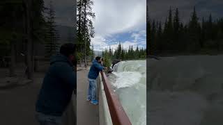 Athabasca Falls Stunning Views and Roaring Waters [upl. by Flodur]