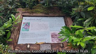 Winterbourne Garden 20233  Woodland Walk J Strauss II Vienna Blood Waltz [upl. by Farrish]