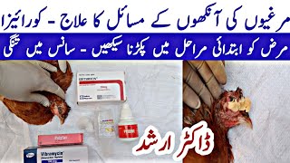 Chicken Eye Problems  Poultry Eyes and Respiratory Disorders  Coryza in Poultry  Dr Arshad [upl. by Rufe]