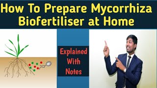 How to Prepare Mycorrhiza Biofertilizer at HomeVAMRohit Mane Scientistracademy [upl. by Brause]