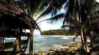 Peaceful Ocean Waves Tropical Paradise for Relaxation Enjoyment Calmness asmr watersounds waves [upl. by Chabot18]