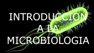 INTRODUCCIÓN A LA MICROBIOLOGÍA 1 [upl. by Yatnohs241]