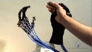 Animatronic Robotic Human Robotic Hands Servo 6 DoF [upl. by Enyt]