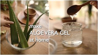 2 ways to make pure organic aloe vera gel at home and preserve for months [upl. by Buckley]