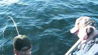 Killer Coho Salmon Fishing Ketchikan Alaska [upl. by Ashton]