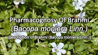 Pharmacognosy Of Brahmi  Description Of Brahmi [upl. by Doherty]