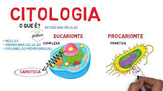 O básico do básico sobre citologia [upl. by Anaiviv]