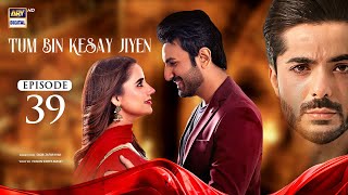 Tum Bin Kesay Jiyen Episode 39 English Subtitles 4 April 2024  ARY Digital [upl. by Salena]