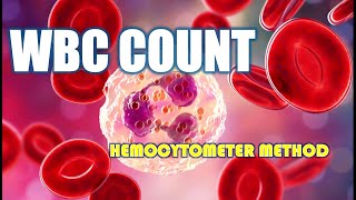 WBC Count  white blood cells  hemocytometer method  Blood physiology  wbccount hemocytometer [upl. by Croom421]