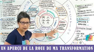 UN APERÇU DE LA ROUE DE MA TRANSFORMATION [upl. by Bertram769]