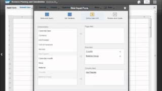 SAP BPC 101 unified live demo Chapter 07  Input form [upl. by Mellar]