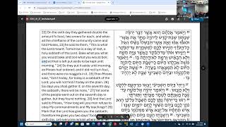 Chevrah Torah Beshalach  12724 [upl. by Orsino]