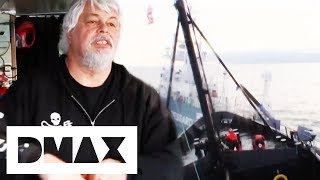 Sea Shepherds Collide With Harpoon Ship While Trying To Stop Whaling  Whale Wars [upl. by Jerusalem]