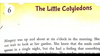 The little Cotyledons  Class 4 chapter6 explanations [upl. by Libbey110]