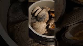 Steamed Cherrystone Clams [upl. by Maura]