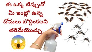 బొద్దింకలు దోమలు పోవడానికి చిట్కాలుtips and trickstipsLasyap200 [upl. by Otrebogad]