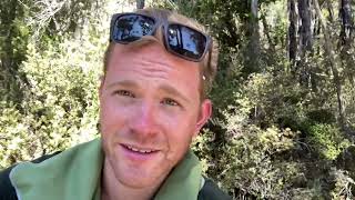 Trek to Speargrass Hut Nelson Lakes National Park [upl. by Ely]