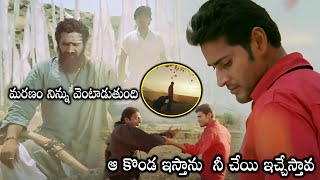 Khaleja Movie Blockbuster Action Climax Scene  Prakash Raj  Mahesh Babu  HD Cinema Official [upl. by Pennebaker]