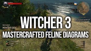 Witcher 3  ALL Mastercrafted Feline Diagram Locations Upgrade Armour and Weapons [upl. by Treva]