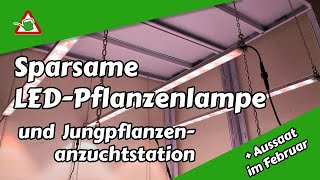 Sparsame LEDPflanzenlampe  Jungpflanzenanzuchtstation  Aussaat im Februar  Selbstversorger [upl. by Truelove938]