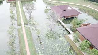 Water Garden Hotel Sigiriya Sri Lanka [upl. by Norel539]