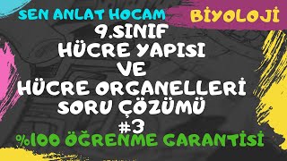 9 SINIF HÜCRE YAPISI VE HÜCRENİN ORGANELLERİ SORU ÇÖZÜMLERİ 3  TYT BİYOLOJİ  ✅ [upl. by Hankins]