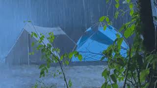 Instant Fall Asleep in 3 Minutes  Torrential Rain amp Mighty Thunder Sounds on Camping Tent in Forest [upl. by Oidivo255]