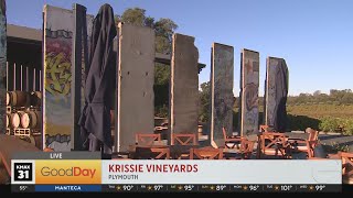 Krissie Vineyards in Plymouth [upl. by Abekam]