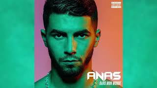 Anas  Zina feat YL [upl. by Onairda860]