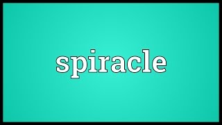 Spiracle Meaning [upl. by Alien435]