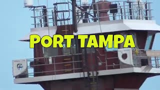 Discover The Beauty Of Port Tampa In Tampa Fl [upl. by Neeka]