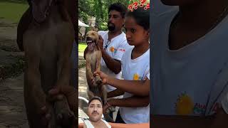 Thanks everyone viralvideo shortsvideo humanity comedy voiceless comedyfilms bollywood funny [upl. by Alexandria362]