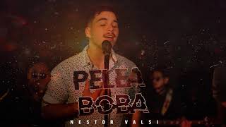 Valsi  Pelea Boba Cover [upl. by Chadbourne]