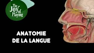 ANATOMIE DE LA LANGUE  PLAISIR DEXPLORER  MARC PAPILLON [upl. by Neeka]