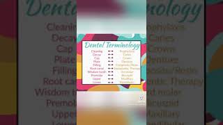 Dental Terminology dentist dentalhygiene dentist dentallove oralhealth [upl. by Obadias940]