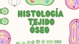 Histología del Tejido Óseo Estructura y Función PARTE 1 [upl. by Armanda]