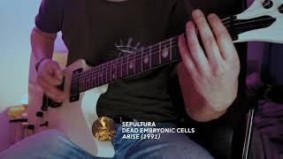 Sepultura  Dead Embryonic Cells Guitar Cover [upl. by Libbi]