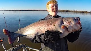 How to catch catfish in a river  fishing for big catfish bait rods reels rigs [upl. by Aliuqaj30]