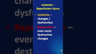 Shorts  117 Ischemia Reperfusion Injury  What is it and what tissues are affected [upl. by Nniroc]