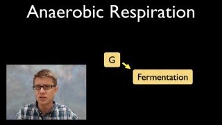 Anaerobic Respiration [upl. by Lazos]