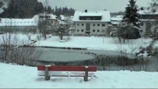 Tour rund um Lenzkirch Hochschwarzwald [upl. by Skelly523]